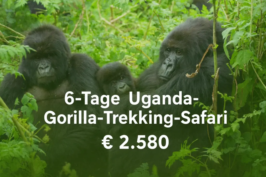 Gorilla-Trekking Uganda – 6-Tage Safari