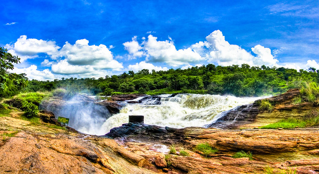 murchison falls uganda