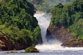 murchison falls