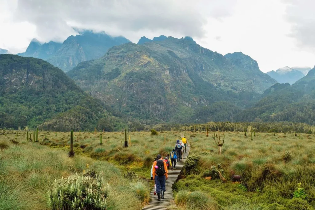 rwenzori hiking
